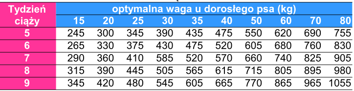 pies giant adult Bab'in Signature Giant Adult dla psów olbrzymich ras 12 kg