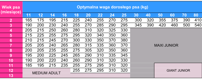 pies medium junior Bab'in Signature Medium Junior dla szczeniąt średnich ras 12 kg