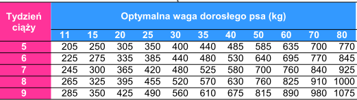 pies medium junior2 Bab'in Signature Medium Junior dla szczeniąt średnich ras 12 kg