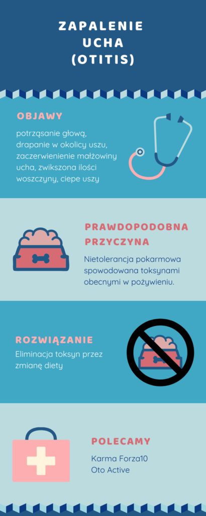 zapalenie ucha