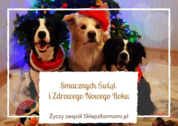 Smacznych Świąt i Zdrowego Nowego Roku życzy zespół SklepzKarmami.pl