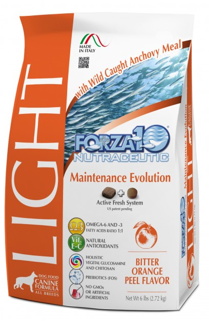 FORZA10 LIGHT MAINTENANCE EVOLUTION
