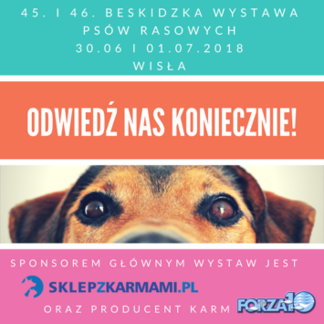Zapraszamy na wystawy w Wiśle (30.06 i 01.07.2018)