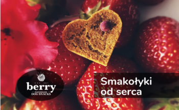 Berry Snacks - smakołyki od serca