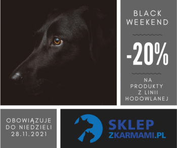 Black Weekend odbierz kupon rabatowy -20%